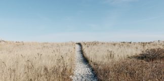 Przyszłość polskich kurortów turystycznych