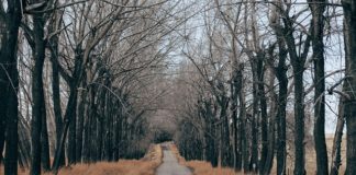 Wybierając się w góry sprawdźmy ofertę noclegów w internecie