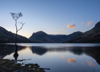 Czy Maślanka to napój fermentowany?