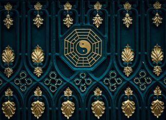 Jak wprowadzić mokra karmę?