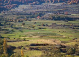 Jak głęboko orać pod pszenicę? Jak głęboko orać pod pszenicę?