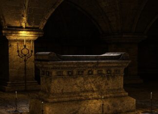 Co ile zmieniać wodę psu?