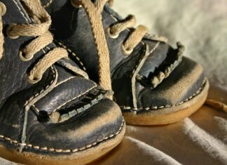 Jak nauczyć psa wolniej jeść?