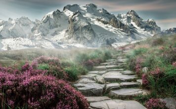 Jakie kamienie nie zmieniają pH wody? Jakie kamienie nie zmieniają pH wody?