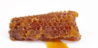 Jak stosować propolis z miodem?