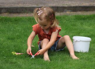 Czego brakuje psu jak je trawę?