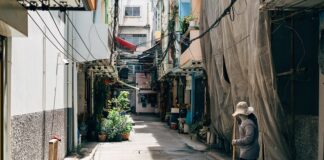 Czy zamiatarka usunie mech z kostki? Czy zamiatarka usunie mech z kostki?