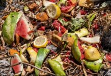 Odbiór odpadów gastronomicznych w lokalach z małym zapleczem – jak pogodzić ograniczoną przestrzeń z wymaganiami sanitarnymi? odbiór odpadów gastronomicznych